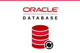 Database Developer